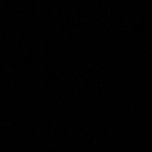 Meet your Posher, Lizzie